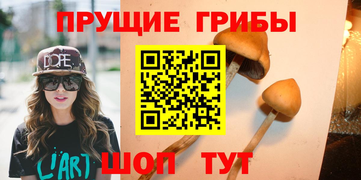 Шадринск  закладки  Вход с VPN  Псилоцибиновые грибы Psilocybine cubensis 