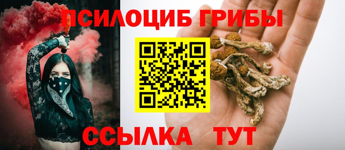 Псилоцибиновые грибы GOLDEN TEACHER Шадринск